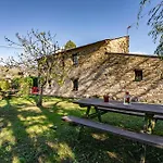 Loureiro Vega de Logares