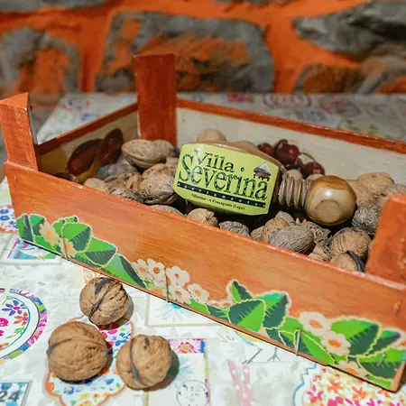 カントリーハウス Loureiro Vega de Logares