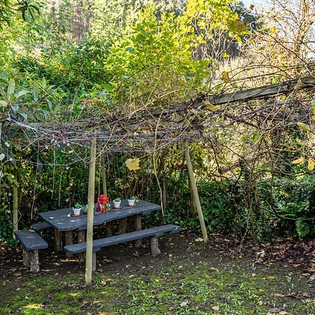 Loureiro * Vega de Logares