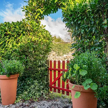 Loureiro Vega de Logares