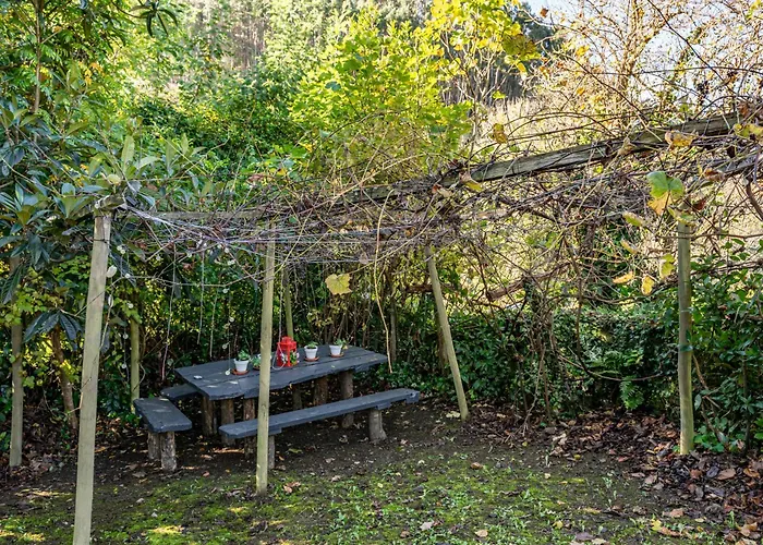 Loureiro * Vega de Logares