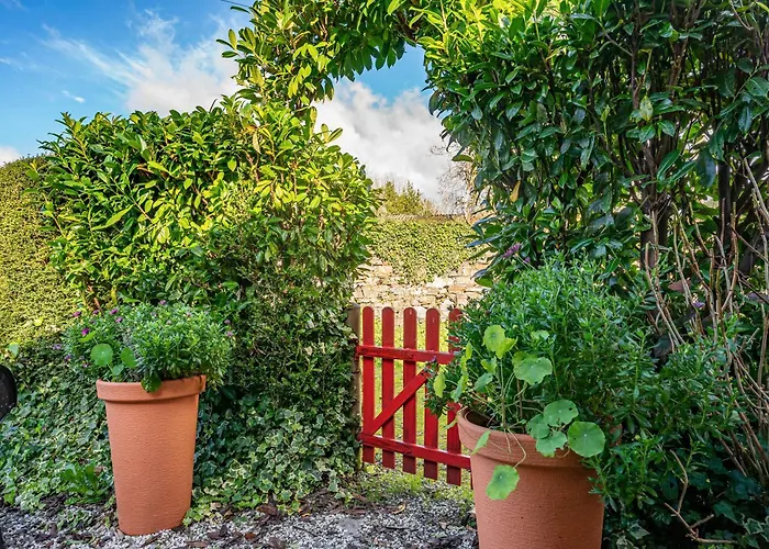 Loureiro Vega de Logares